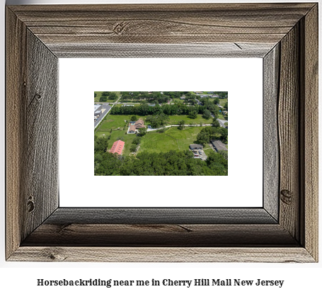 horseback riding near me in Cherry Hill Mall, New Jersey